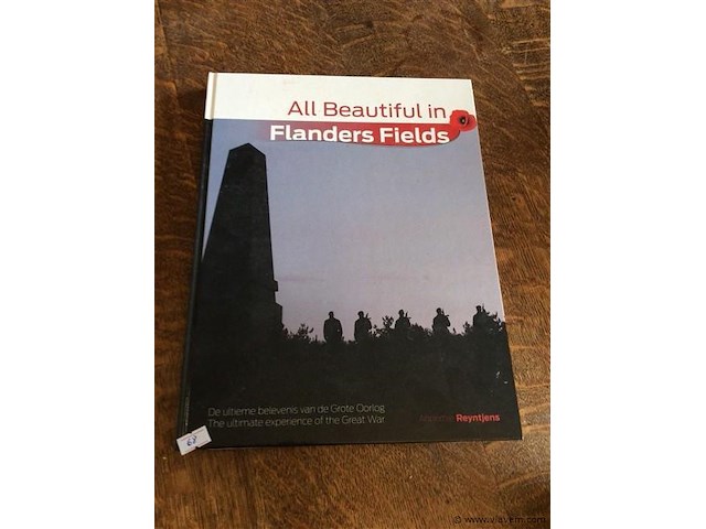 Boek: flanders fields - afbeelding 1 van  5