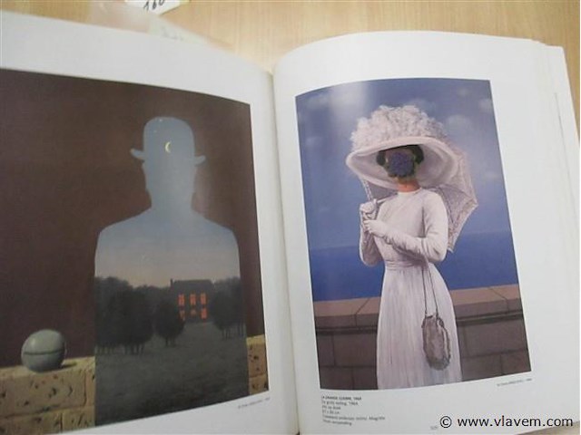 Boek - afbeelding 4 van  4