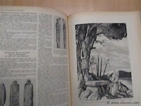 Boek - afbeelding 4 van  5