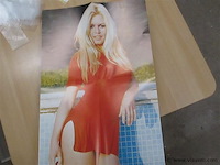 Boek - afbeelding 5 van  5