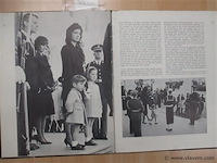 Boek - afbeelding 3 van  3