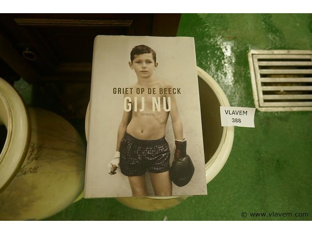 Boek - afbeelding 1 van  1