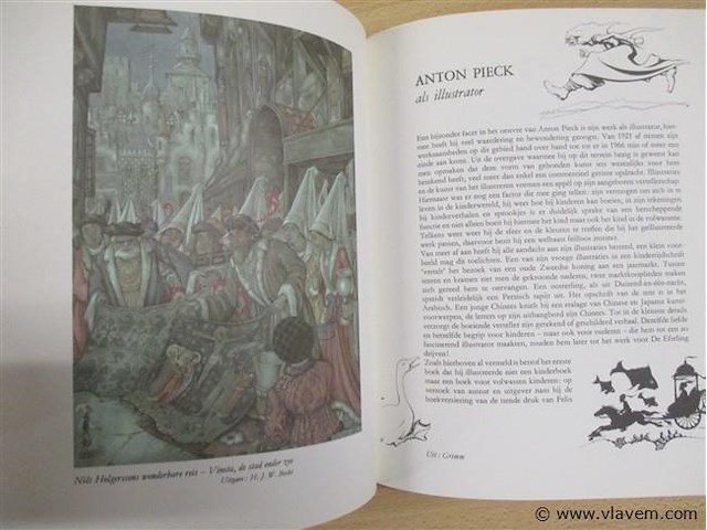 Boek - afbeelding 3 van  3