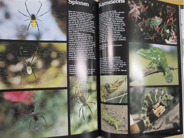 Boek - afbeelding 3 van  3