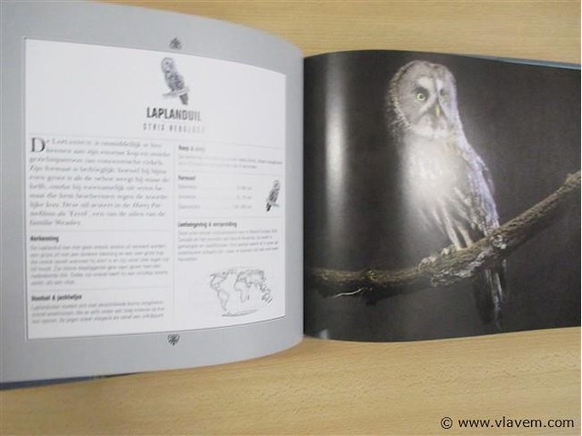 Boek - afbeelding 2 van  3