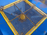 Bogballe - e 1500 - kunstmeststrooier - afbeelding 2 van  17