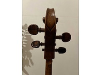 Bohemian cello (ca. 1880) - afbeelding 7 van  11