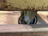 Bok met inhoud - afbeelding 2 van  10