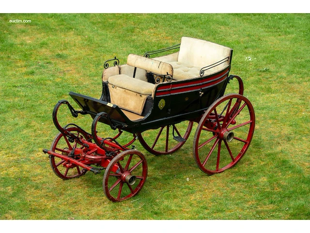 Bokkenwagen van het nederlands... - afbeelding 13 van  17