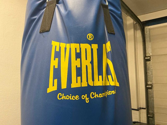 Bokszak everlast - afbeelding 2 van  4