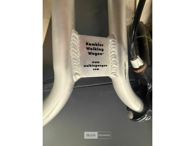 Bolderkar rambler - afbeelding 3 van  4