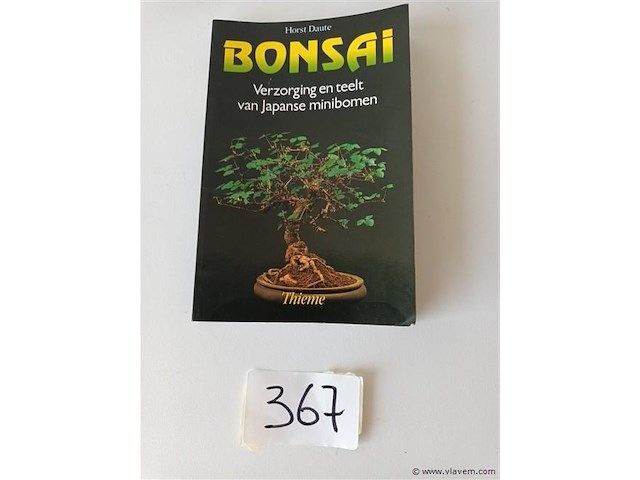 Bonsai - afbeelding 1 van  4