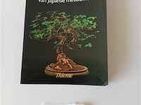 Bonsai - afbeelding 1 van  4
