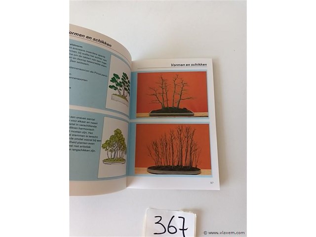 Bonsai - afbeelding 2 van  4