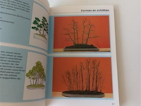 Bonsai - afbeelding 2 van  4