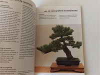 Bonsai - afbeelding 3 van  4
