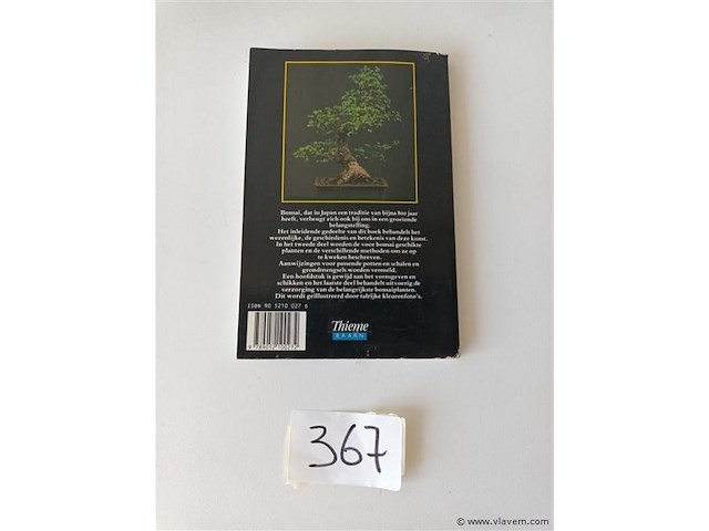 Bonsai - afbeelding 4 van  4
