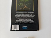 Bonsai - afbeelding 4 van  4