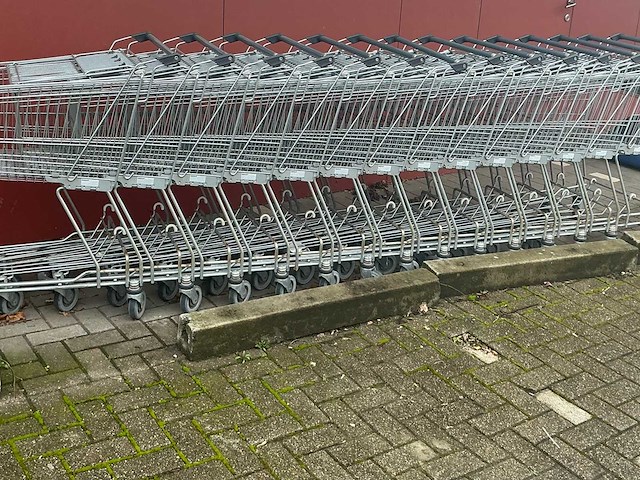 Boodschappen karren en interne boodschappen mandjes op rollen. - afbeelding 2 van  8