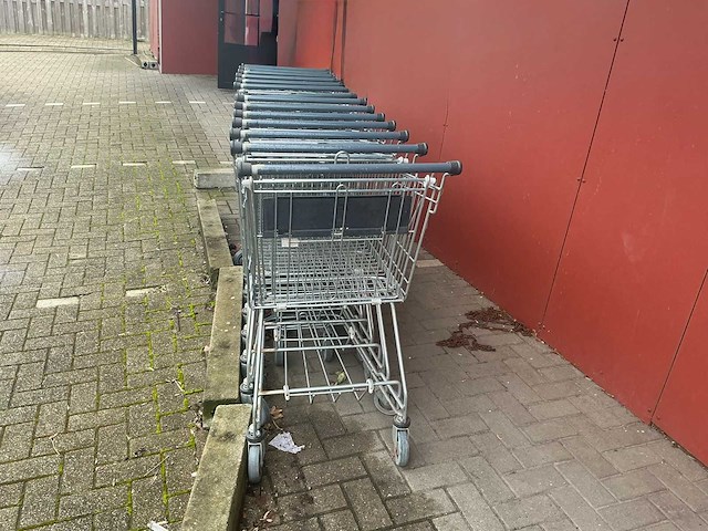 Boodschappen karren en interne boodschappen mandjes op rollen. - afbeelding 1 van  8
