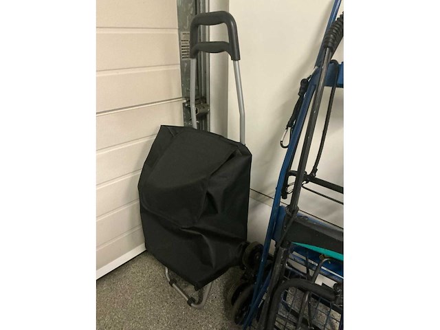 Boodschappentrolley/caddy (2x) en steekwagentjes - afbeelding 4 van  4