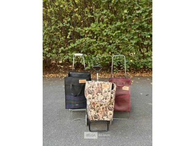 Boodschappentrolley's (3x) - afbeelding 1 van  1