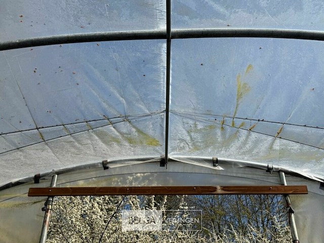 Boogloods - afbeelding 3 van  7