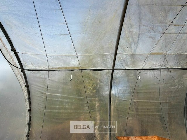 Boogloods - afbeelding 4 van  7