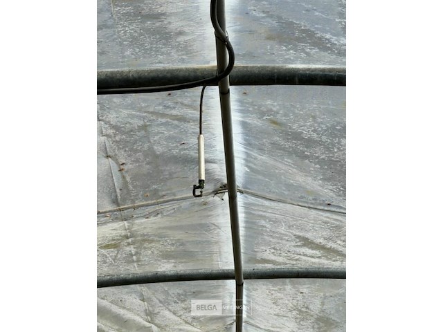 Boogloods - afbeelding 6 van  7