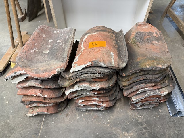 Boomse dakpannen - afbeelding 1 van  1