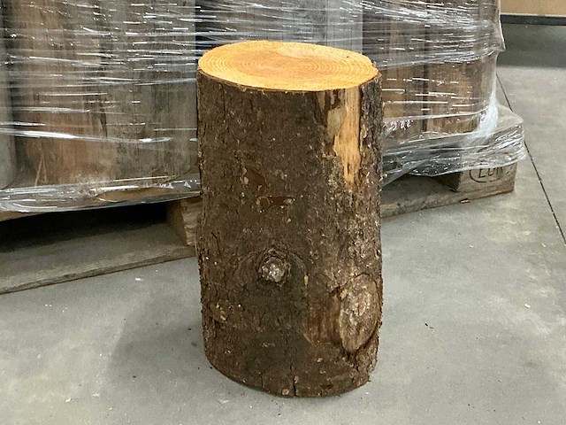 Boomstam kruk (20x) - afbeelding 1 van  2