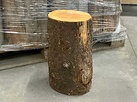 Boomstam kruk (20x) - afbeelding 1 van  2