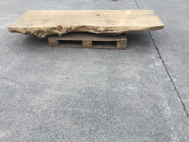 Boomstam tafelblad ceder 2280x760x180mm - afbeelding 4 van  8