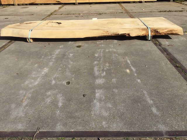 Boomstam tafelblad ceder 2570 x 800 x 80 mm - afbeelding 8 van  9