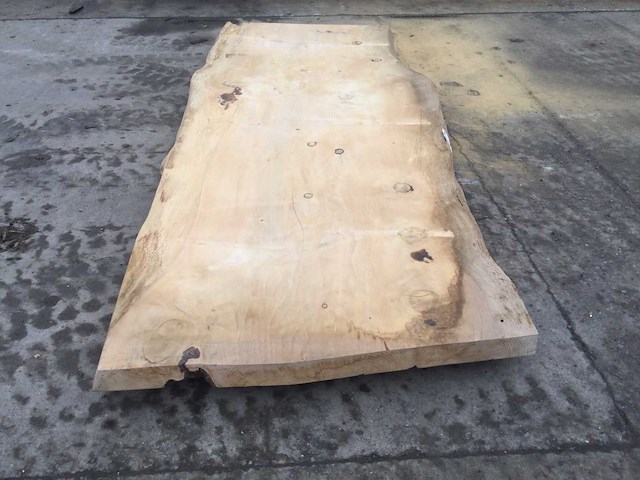 Boomstam tafelblad ceder 2800 x 1150 x 80 mm - afbeelding 3 van  10