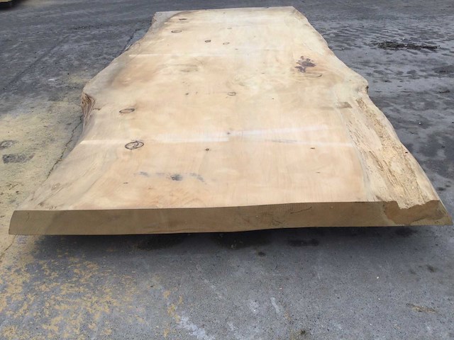 Boomstam tafelblad ceder 2800 x 1150 x 80 mm - afbeelding 8 van  10