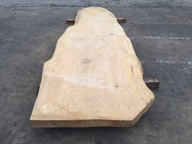 Boomstam tafelblad ceder 2800 x 900 x 80 mm - afbeelding 3 van  10
