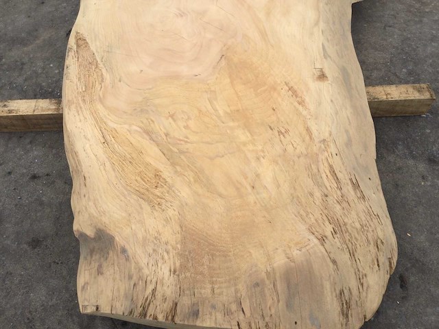 Boomstam tafelblad ceder 2800 x 900 x 80 mm - afbeelding 9 van  10