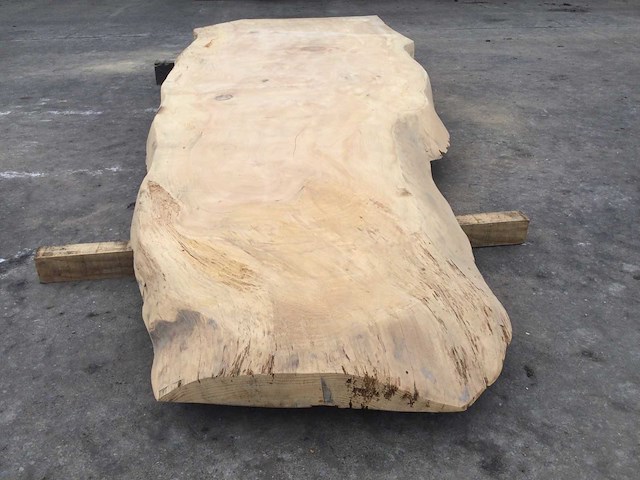 Boomstam tafelblad ceder 2800 x 900 x 80 mm - afbeelding 6 van  10
