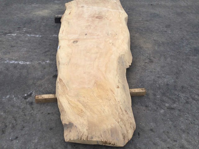 Boomstam tafelblad ceder 2800 x 900 x 80 mm - afbeelding 6 van  10