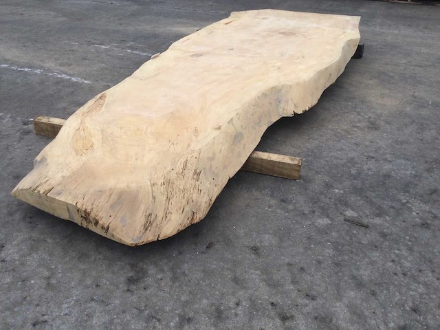 Boomstam tafelblad ceder 2800 x 900 x 80 mm - afbeelding 5 van  6