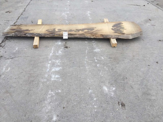 Boomstam tafelblad eiken 2450 x 450 x 50 mm - afbeelding 2 van  4