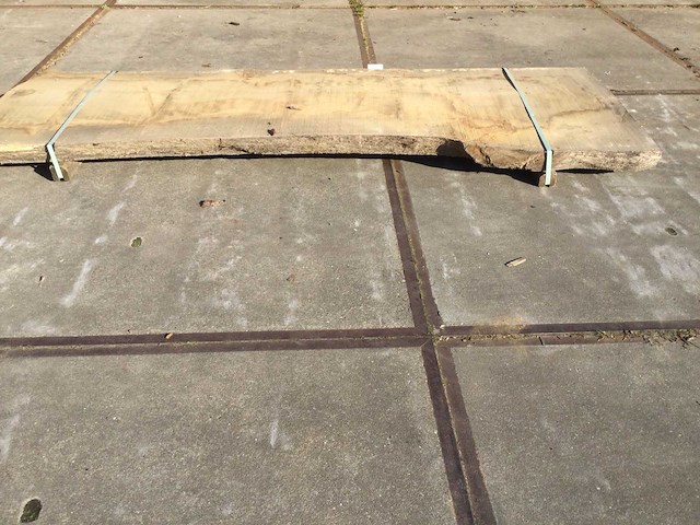Boomstam tafelblad eiken 2900x900x90mm - afbeelding 7 van  8