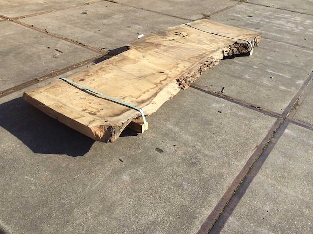 Boomstam tafelblad eiken 2900x920x80mm - afbeelding 1 van  8