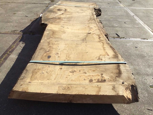 Boomstam tafelblad eiken 2900x920x80mm - afbeelding 3 van  8
