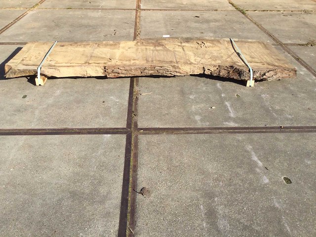 Boomstam tafelblad eiken 2900x920x80mm - afbeelding 7 van  8