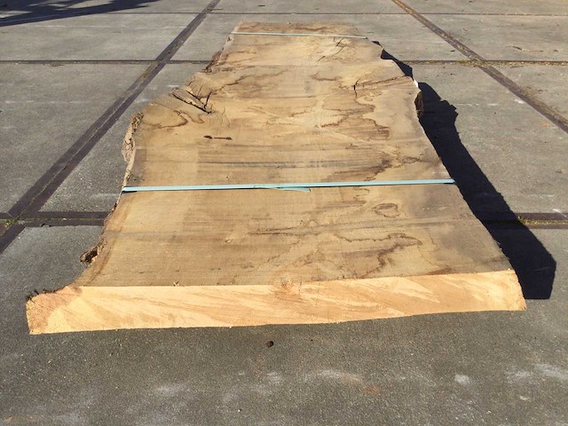 Boomstam tafelblad eiken 2920 x 950 x 90 mm - afbeelding 3 van  5