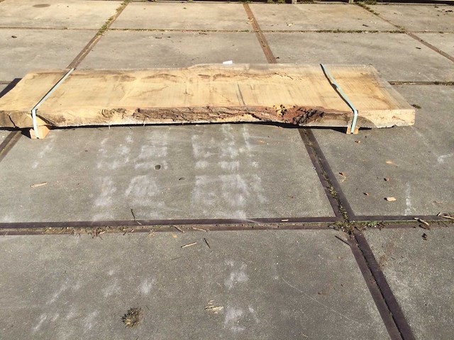 Boomstam tafelblad eiken 2920 x 970 x 90 mm - afbeelding 7 van  8