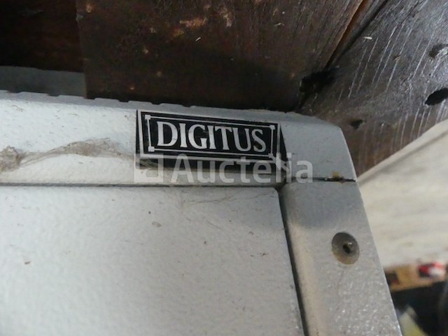 Boomstam - afbeelding 1 van  6