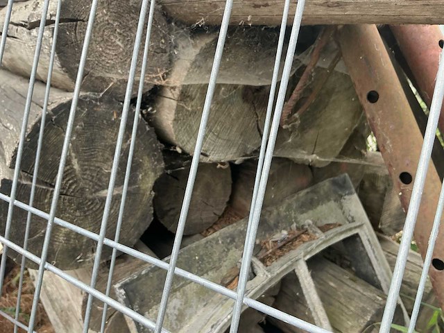 Boomstambalken 5m (20x) - afbeelding 3 van  4